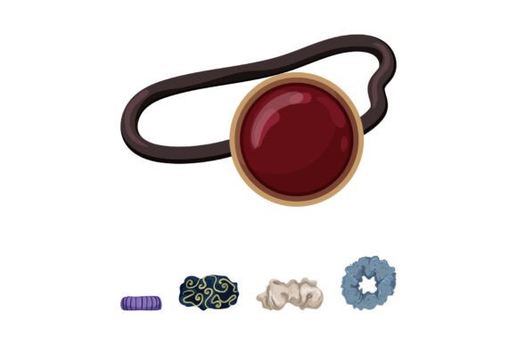 Curating the Essential Collection of Hair Scrunchies and Accessories