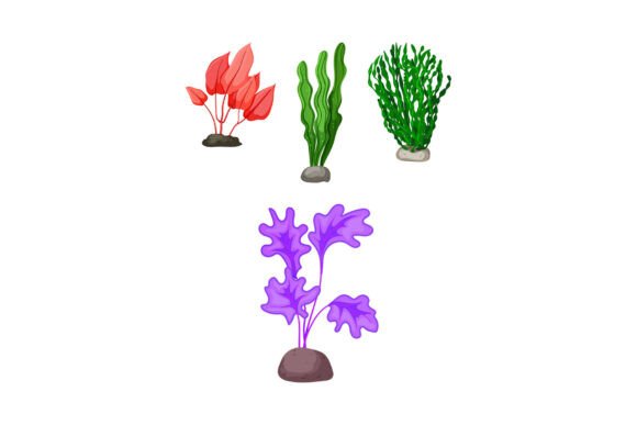 Transforming Tanks with Various Colorful Aquatic Plants Decorati